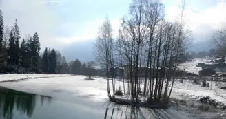 Vue sur le lac des chavants