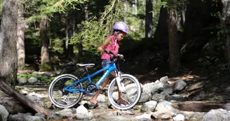 VTT