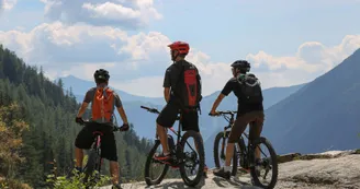 VTT