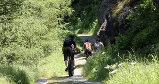 VTT