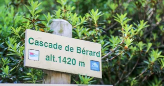 Berard Berard
