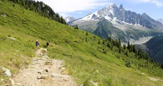planpraz-flégère vue sur les Drus