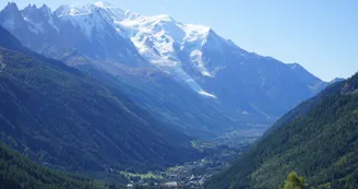 Aiguillettes-Posettes-1