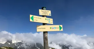 Aiguillettes-Posettes-4