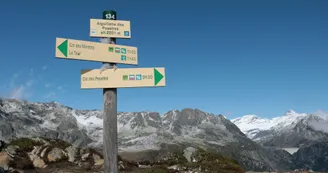 Aiguillettes-Posettes-6