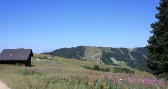 Randonnée Les Houches Randonnée Les Houches