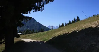 Randonnée Les Houches Randonnée Les Houches